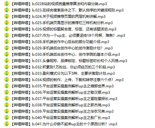 哔哩实操运营从0到20万粉【已完结】