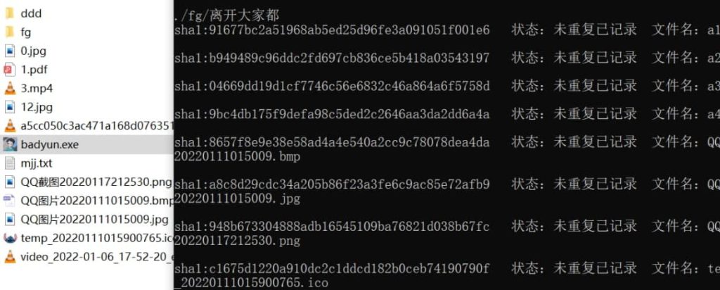图片[1]-文件一键批量去重 自动递归删除 生成文件结构