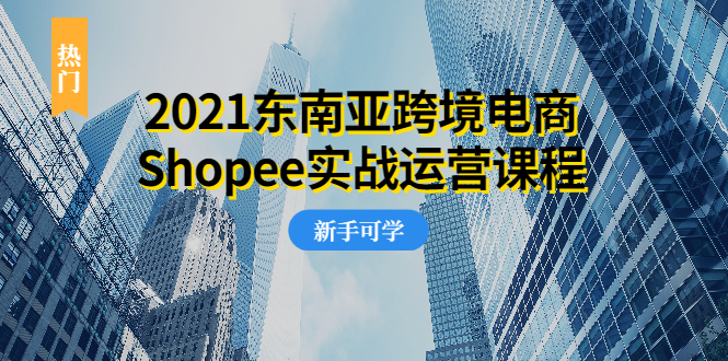 东南亚跨境电商课程-实战-运营-0投资-爱分享资源网
