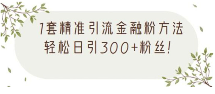 金融精准引流方法视频课程-爱分享资源网