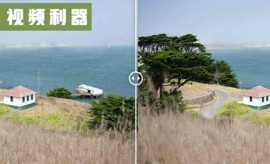 图片[5]-图片视频画质提升无损放大修复降噪Topaz AI中文汉化版全家桶全套