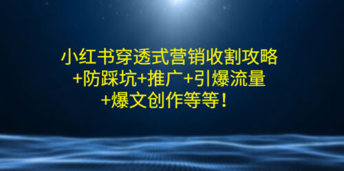小红书穿透式营销收割策略-防踩坑-推广-引爆流量-爆款打造等等-爱分享资源网