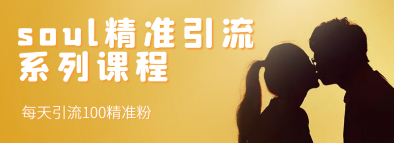 soul精准引流系列全套课程-每天精准引流100粉-爱分享资源网