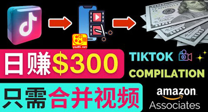 把Tiktok的短视频搬到Youtube上赚钱-只要下载合并视频_一天就能赚美元-爱分享资源网
