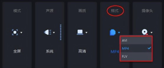 视频格式