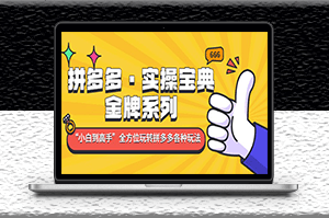 拼多多金牌系列全方位各种玩法-爱分享资源网