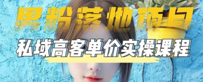 图片[1]-2023男粉高客单价实操落地项目_通过短视频转私域日产500+