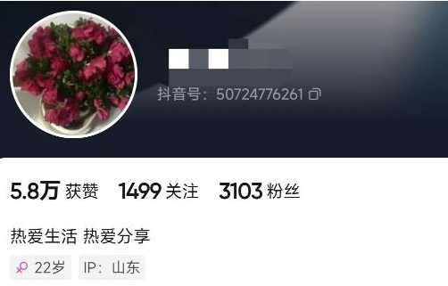 抖音小程序项目，不用会剪辑一键生成视频，有人一个作品赚了6W+-爱分享资源网