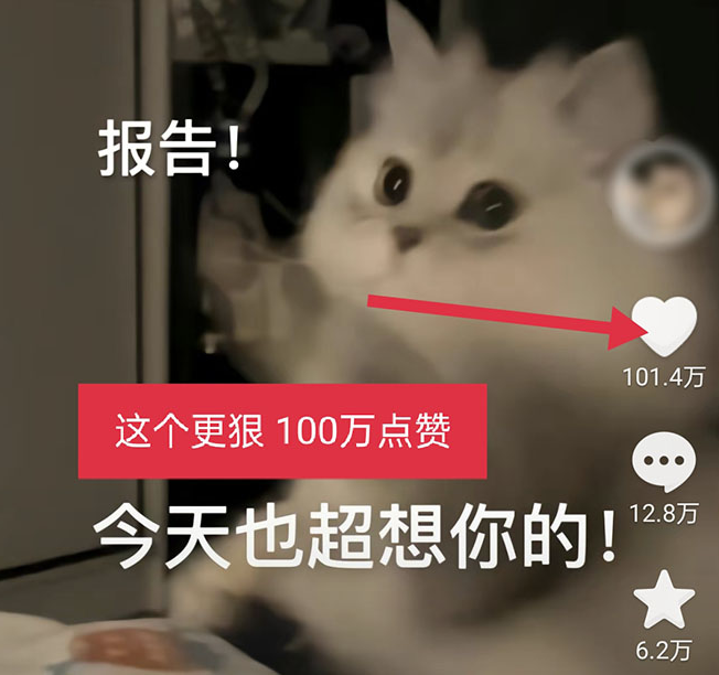 图片[4]-黑科技纯原创可爱猫咪图片_全网短视频精准引流-爱分享资源网