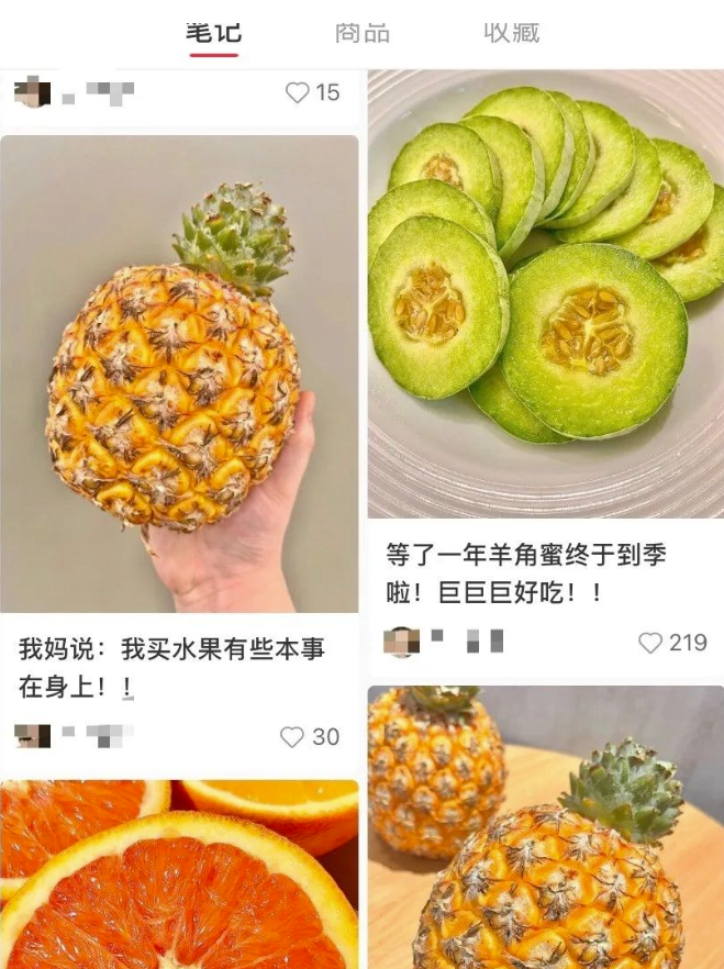 一个小红书小众的赛道-爱分享资源网