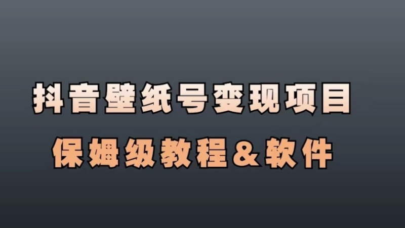 抖音壁纸号全套引流变现新玩法-爱分享资源网
