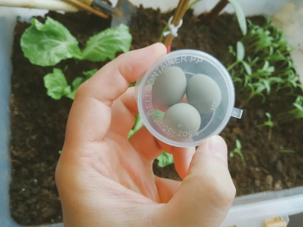 图片[3]-2000元投资，1个半月赚近3万！养殖暴利项目揭秘！-爱分享资源网