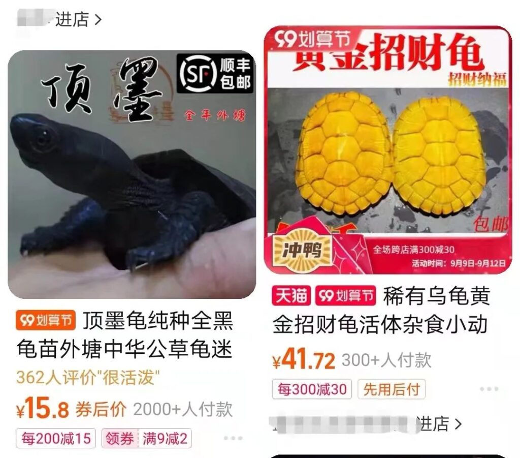 图片[1]-6000元买入，半年翻倍！这个小项目竟然如此神奇！