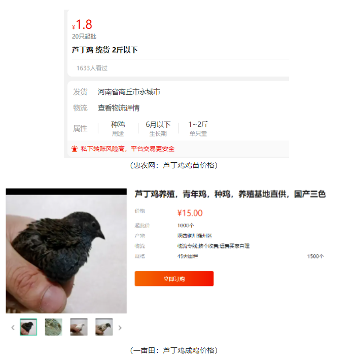 图片[2]-2000元投资，1个半月赚近3万！养殖暴利项目揭秘！-爱分享资源网