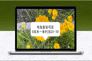 重装电脑系统_0成本高利润!赚钱新模式揭秘