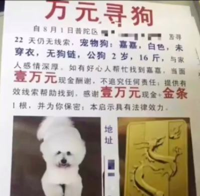 图片[2]-惊人利润！十个冷门生意推荐