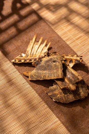 年赚几十万的冷门生意，每天900元轻松赚！-爱分享资源网