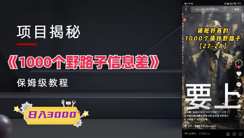 图片[1]-1000个野路子信息差保姆式教程-单日变现3000+的玩法解密-爱分享资源网