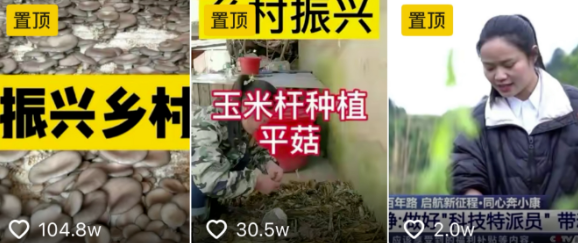 图片[2]-农村创业项目：夫妻2人年挣30万！种植秘籍揭秘