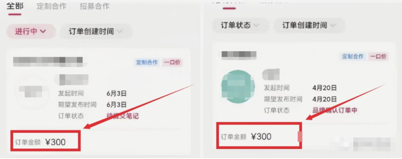 小红书商单玩法_一单赚200-300！-爱分享资源网