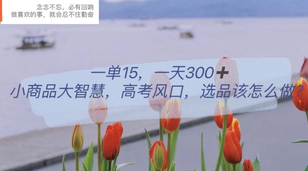 图片[1]-高考风口小商品选品大智慧_一单15元_一天300+！
