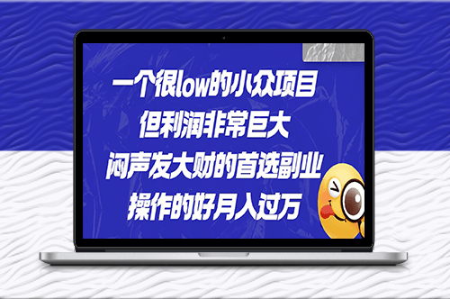 小众项目：闷声发财的首选副业_月入过万-爱分享资源网