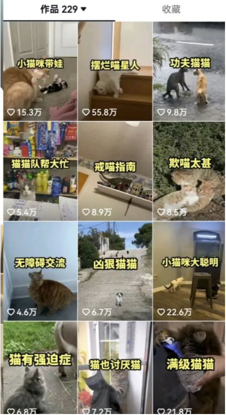 图片[3]-拆解：抖音盘点中视频变现副业项目_大解析分享给你-爱分享资源网