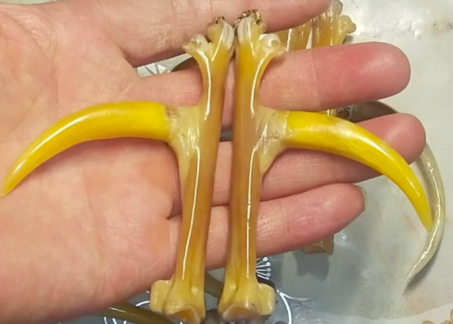 揭秘一项投资不到5000的暴利生意_适合你吗？-爱分享资源网