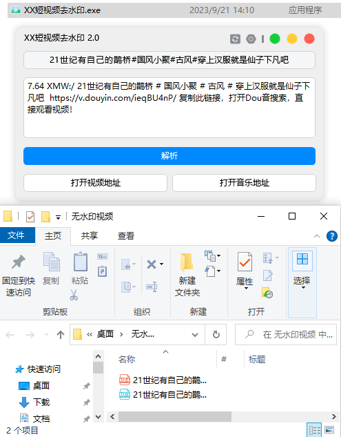图片[1]-[Windows] 轻松去除短视频水印软件