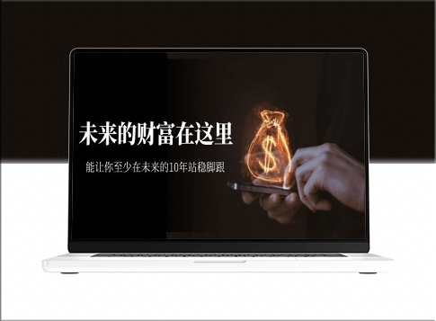 某收费文章《揭秘未来十年的财富之道，助你稳固脚跟》