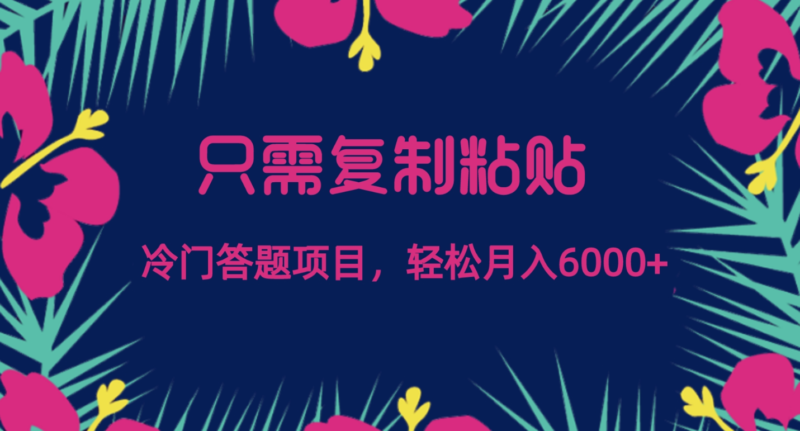 简单复制粘贴的冷门答题项目