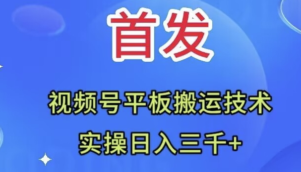 图片[1]-视频号平板搬运技术_日入三千＋(全网首发)-爱分享资源网