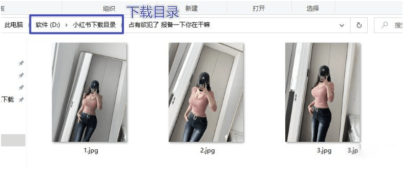 图片[3]-小红书视频+图片下载器(无需登录)