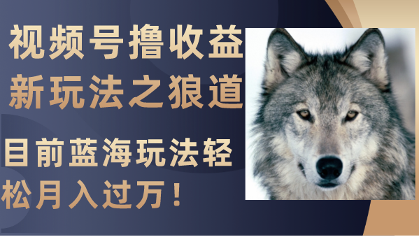 图片[1]-视频号新赚钱秘籍_狼道启示录_月入过万-爱分享资源网