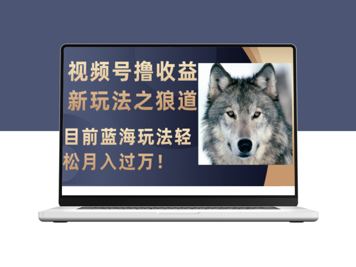 视频号新赚钱秘籍_狼道启示录_月入过万-爱分享资源网