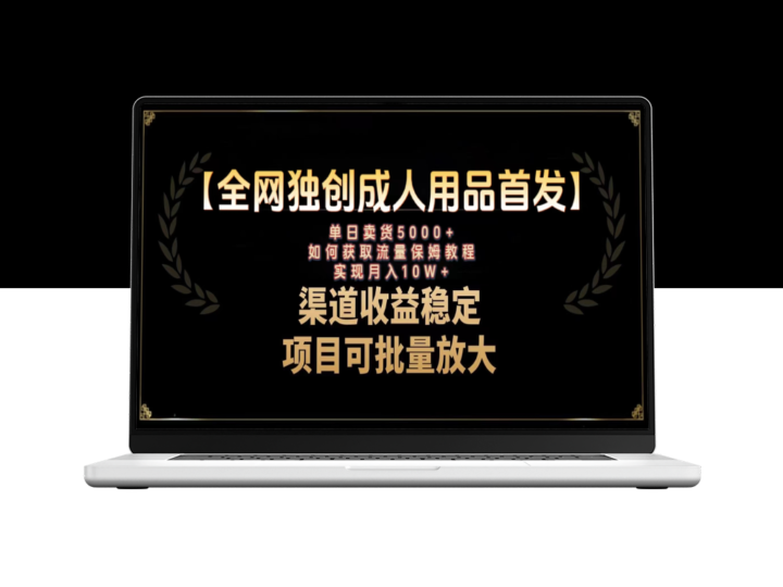 如何利用成人用品领域进行精准引流_实现月入10万的保姆级教程-爱分享资源网