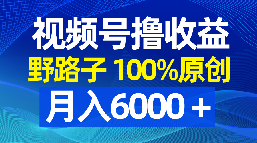 图片[1]-视频号野路子_月入6000＋_100%原创_条条爆款-爱分享资源网