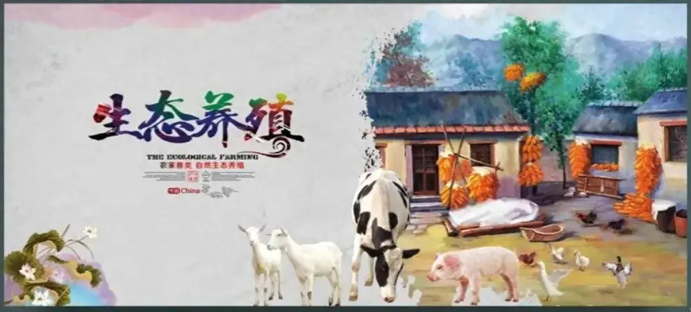 图片[1]-如何选择养殖项目才能最大化利润？