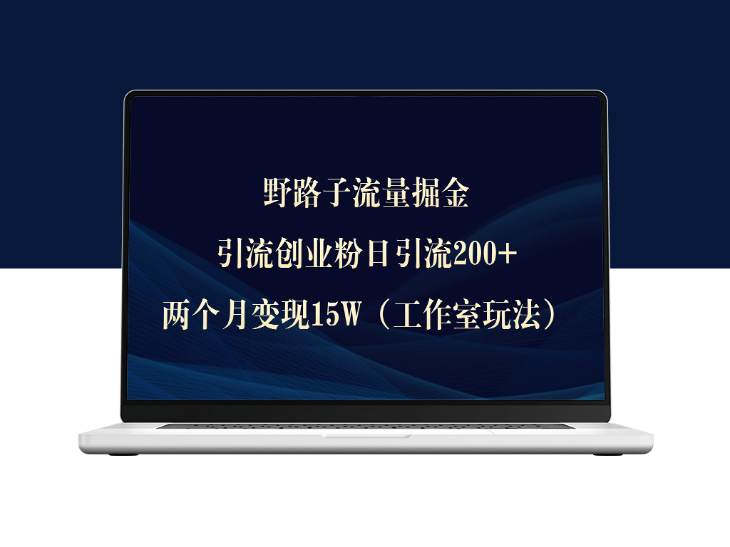 野路子_一天引流200+创业粉_仅两月实现15W盈利-爱分享资源网