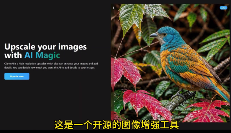 Clarity Upscaler-开源AI工具_无损提升图片分辨率-爱分享资源网
