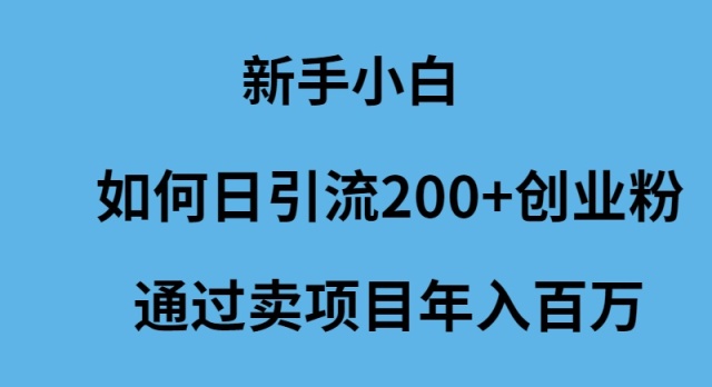 图片[1]-新手小白如何日吸200+创业粉丝_卖项目年入百万-爱分享资源网