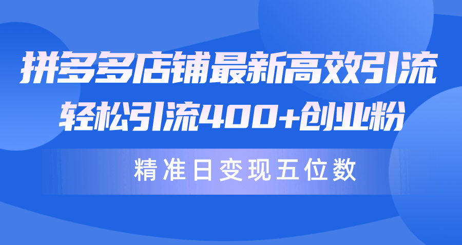 图片[1]-拼多多店铺最新引流方法_实现精准日销五位数-爱分享资源网