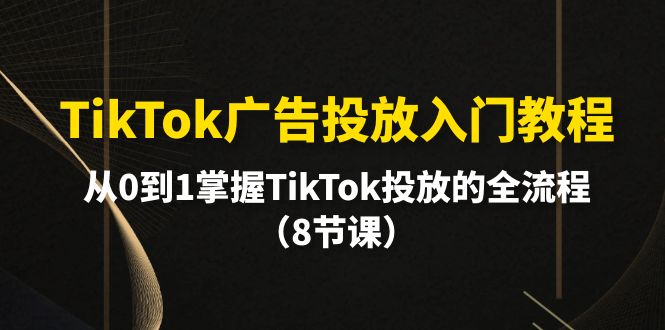 图片[1]-TikTok广告投放实战指南：零基础到精通全流程-爱分享资源网