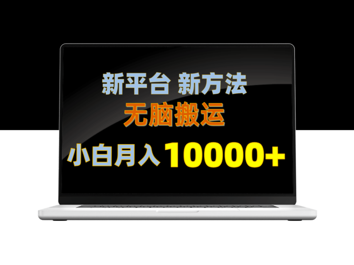 新平台新方法_无脑搬运_月赚10000+小白也能快速上手-爱分享资源网