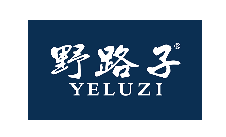 拥抱机会：那些不起眼的致富捷径