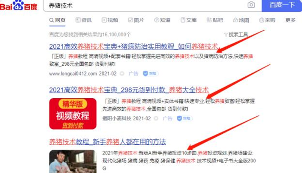 图片[1]-卖养猪技术长期可操作的蓝海暴利项目