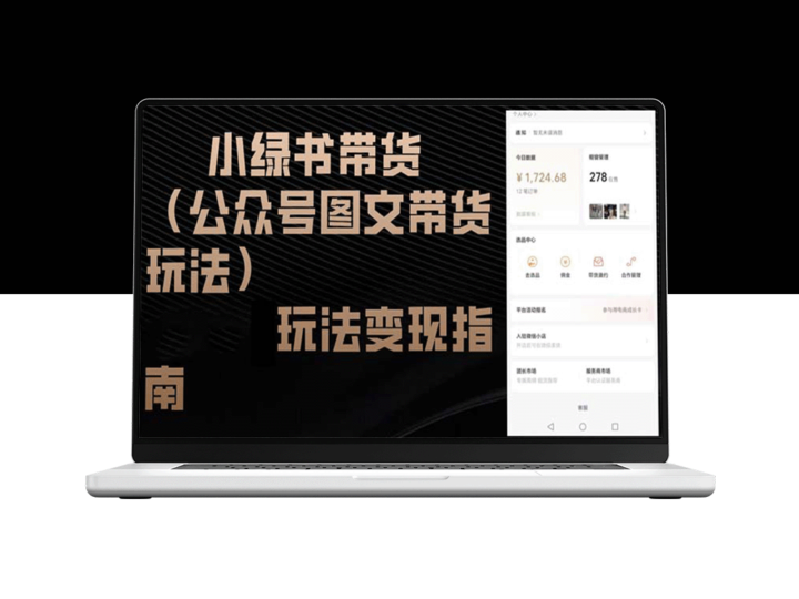 小绿书带货：图文玩法与变现全攻略-爱分享资源网