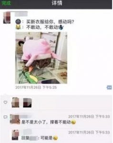 图片[2]-小众偏冷门项目，简单操作月入10000+