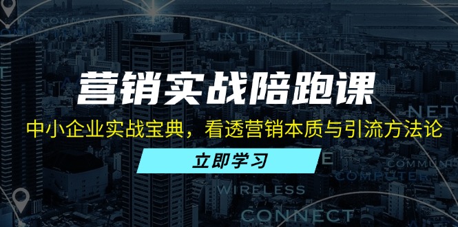 图片[1]-中小企业营销教程：深入实战引流与营销本质的全景解析