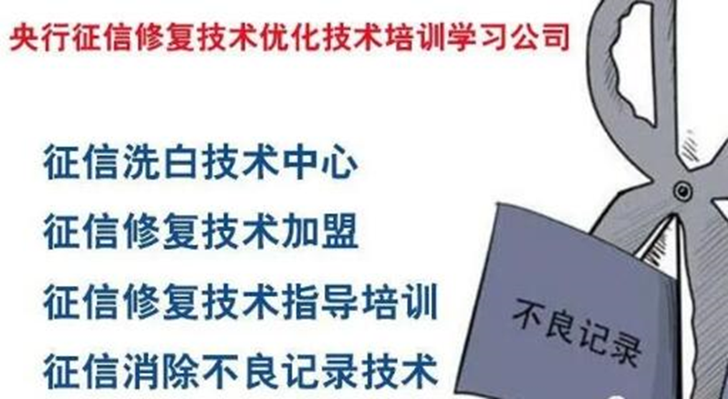 图片[4]-揭秘学费上万的征信修复暴利项目（勿操作）